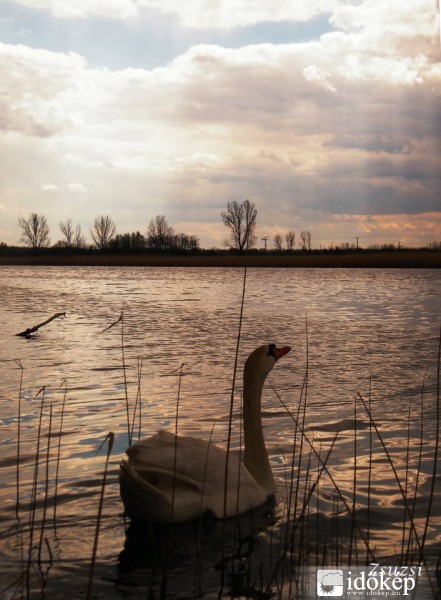 Hová lett a napsütés?