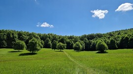 Parád