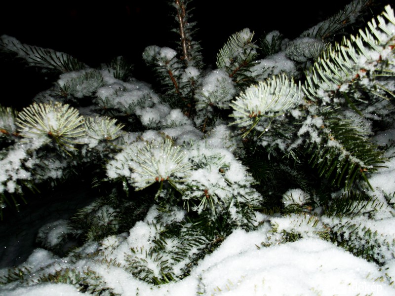 Tibolddaróc