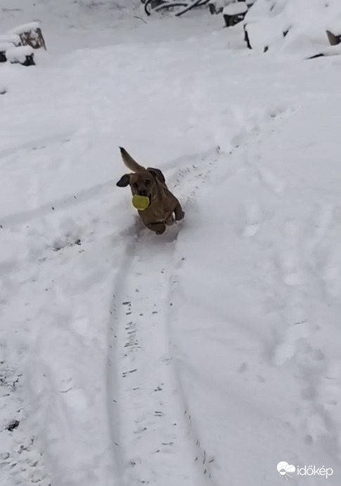 Tetszik ez a nagy hó 