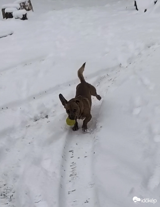 Tetszik ez a nagy hó 