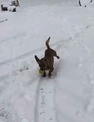 Tetszik ez a nagy hó 