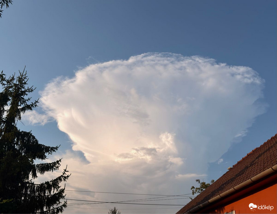 Tibolddaróc