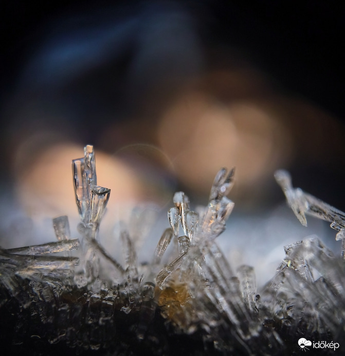 Jégkristályok egy ágon