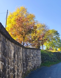 Kács 