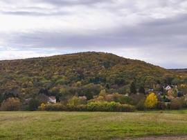 Bükk 