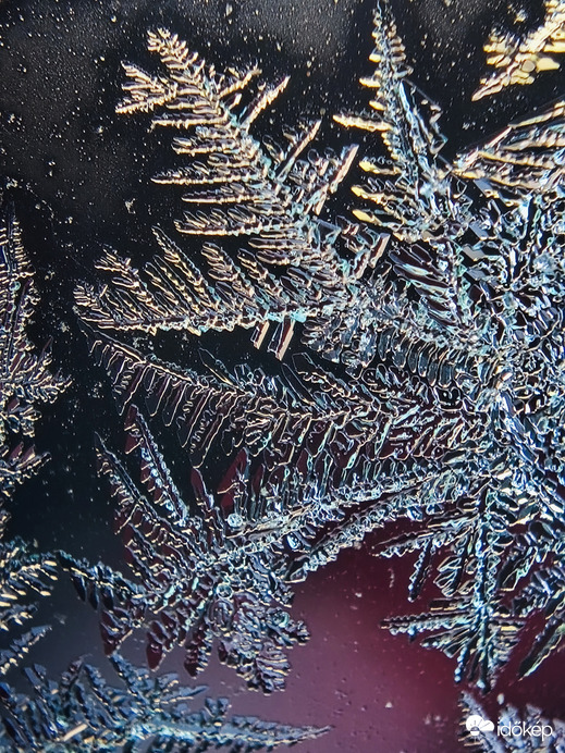 Jégvirág a szélvédőn 