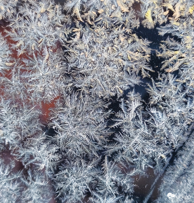 Jégvirág a szélvédőn 