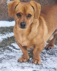 Menjünk már be a melegbe 