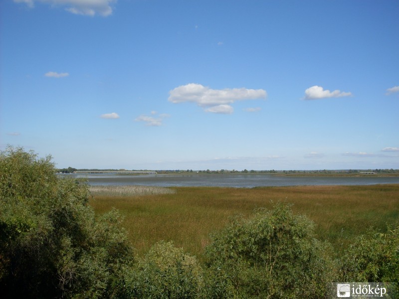 Tisza-tó