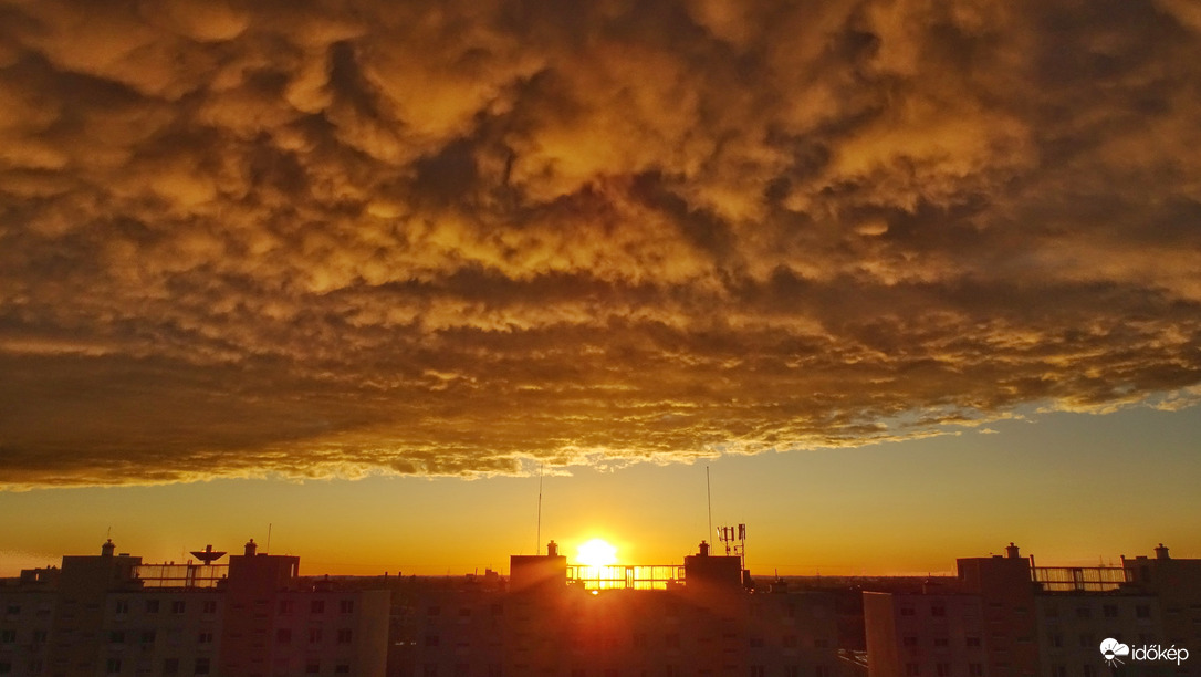 Alkonyi mammatus