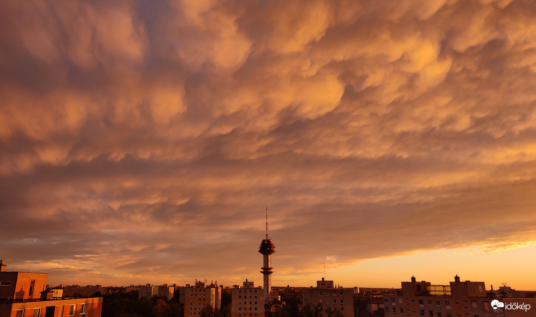 Alkonyi mammatus