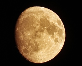 Növőben