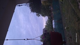 Dabas