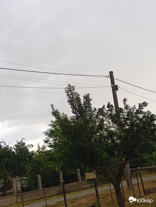 Darvas