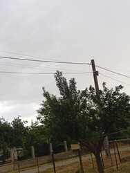 Darvas