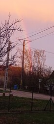 Darvas
