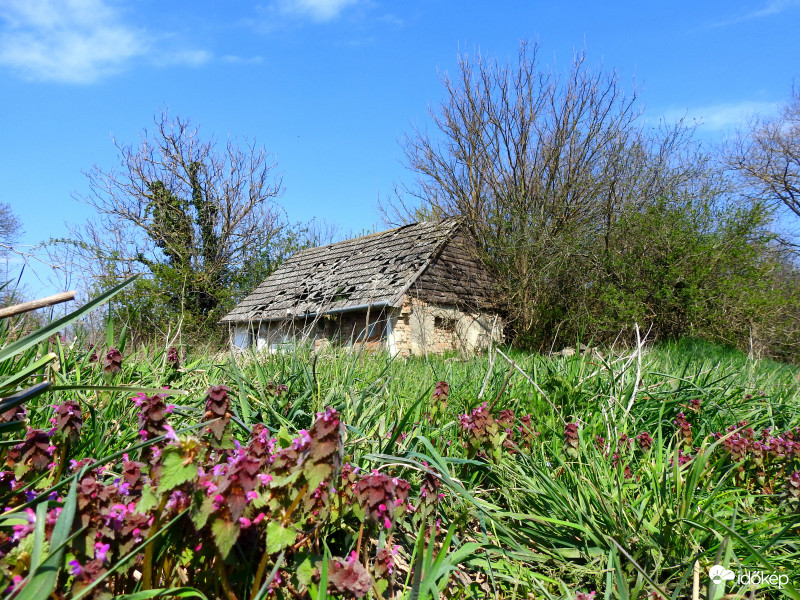 Bogyiszló