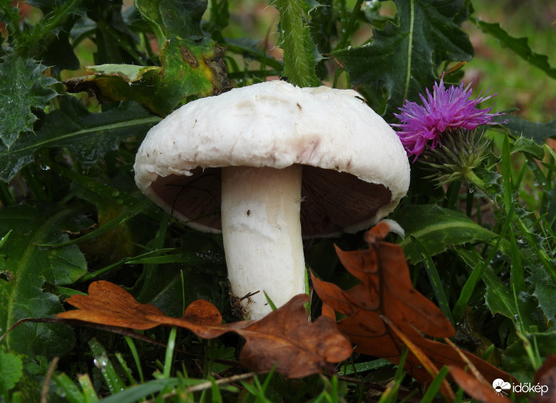 2019.11.10.