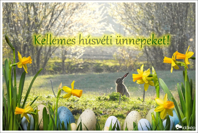 Kellemes húsvéti ünnepeket mindenkinek! :)