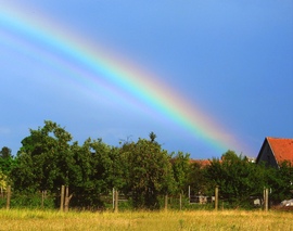 Bogyiszló 