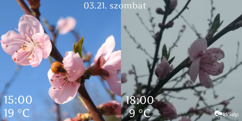 Bogyiszló