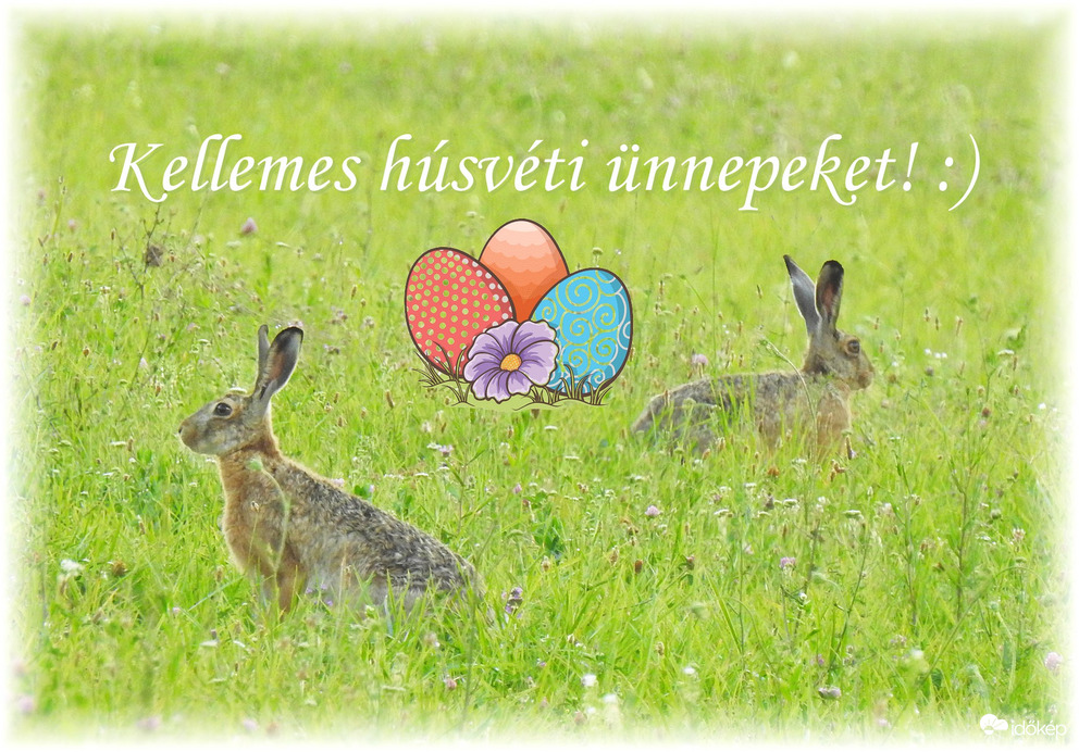 Kellemes húsvéti ünnepeket kívánok mindenkinek! :)