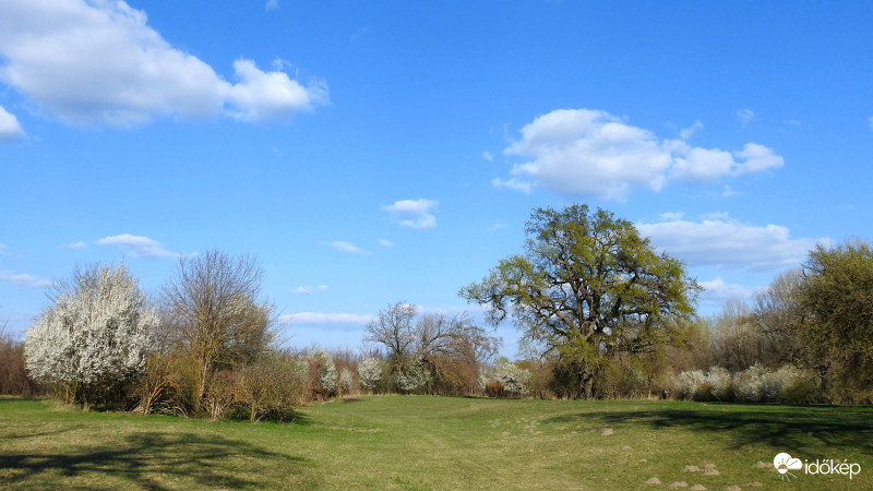 Bogyiszló