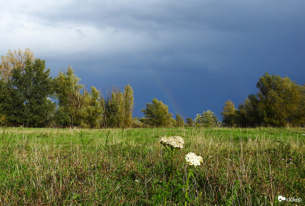 Mintha nyár lenne... :)