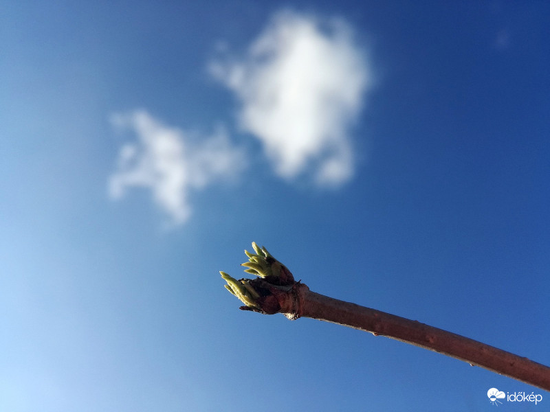 2018.02.05.