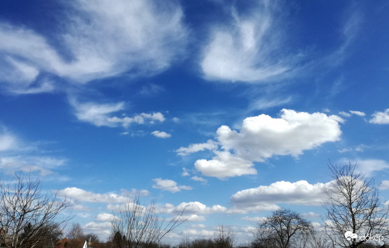 2018.03.11.