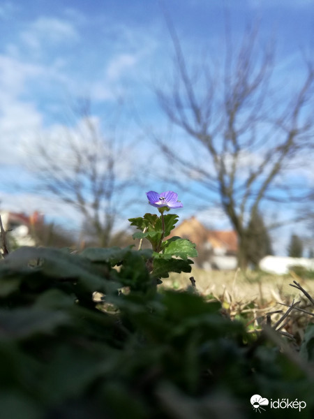 2018.03.10.