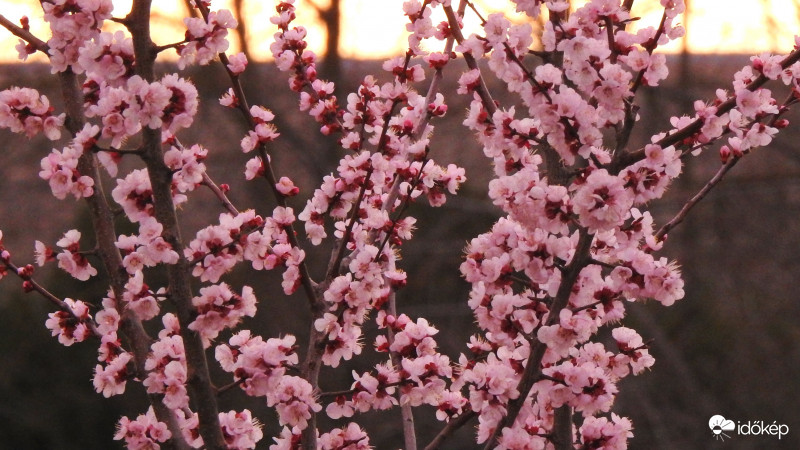 2019.03.19.