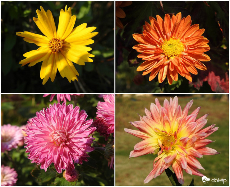 Még nyílnak a völgyben a kerti virágok... :)