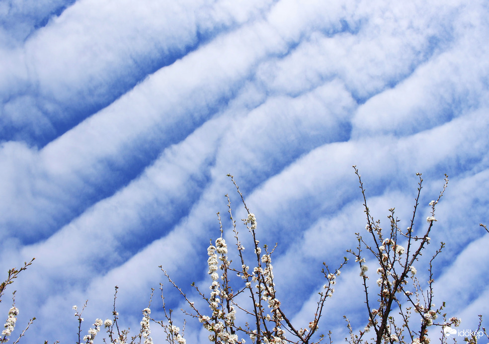 Ma délelőtti szépséges felhők :)