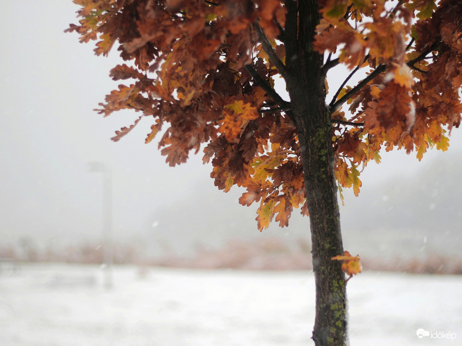 Tél az őszben :)