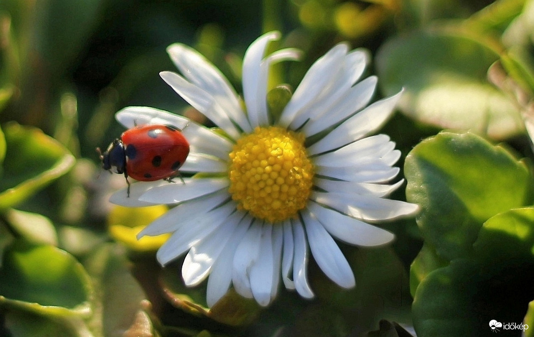 Végre itt a tavasz! :)
