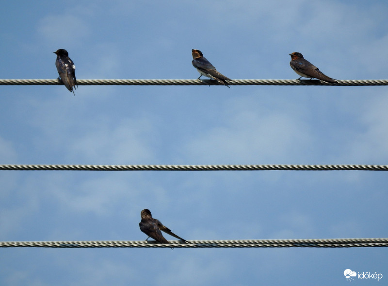 2017.08.05.