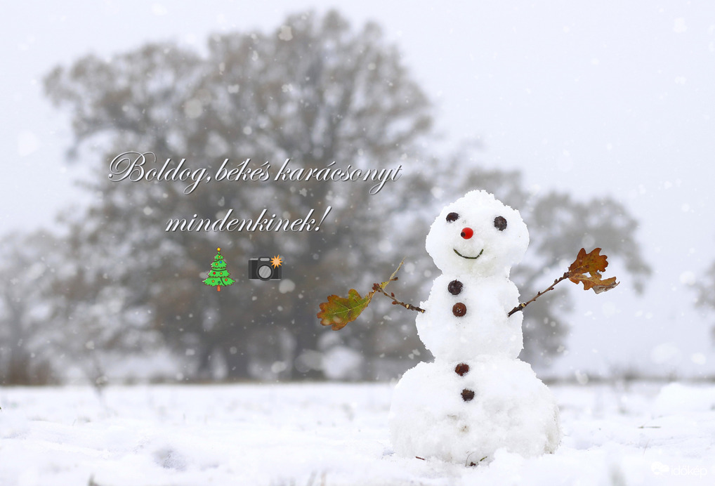 Békés ünnepeket kívánok mindenkinek! :)