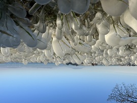 Jégvarázs Bogláron