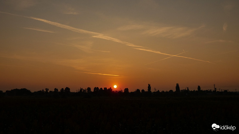 Tárnok 08.31