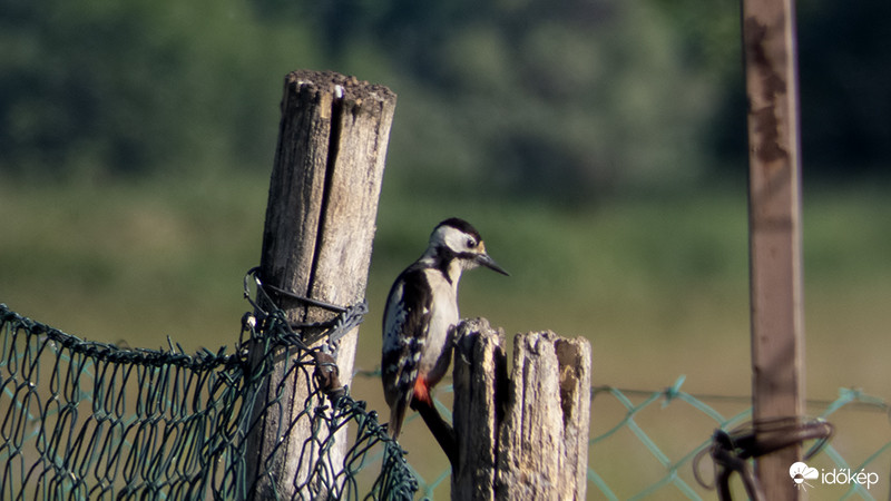 Ezzel már nem sok munkám van:)