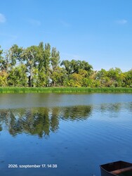 Tiszaalpár