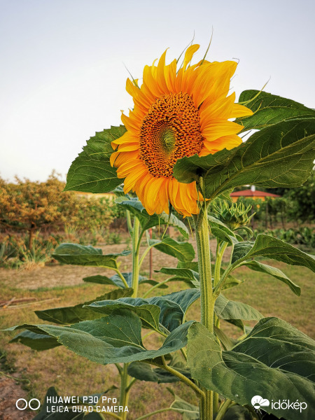 Igaz hogy én vagyok a legkisebb... 