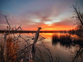 Esteledik az Alsóréten