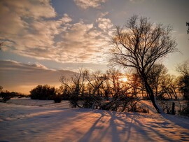 albertlaszlo fotója