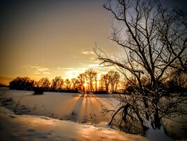 albertlaszlo fotója