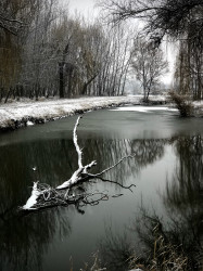 albertlaszlo76 fotója