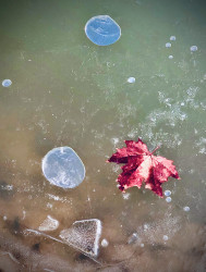 albertlaszlo76 fotója