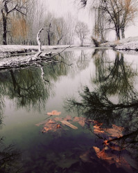 albertlaszlo76 fotója